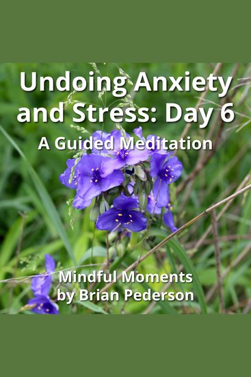 Undoing Anxiety and Stress: Day 6 - A Guided Meditation - cover