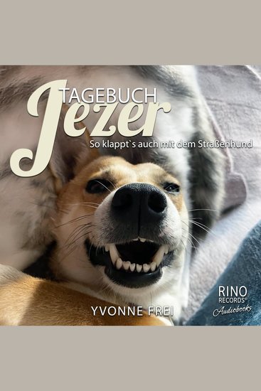 Tagebuch Jezer - So klappt's auch mit dem Straßenhund - cover
