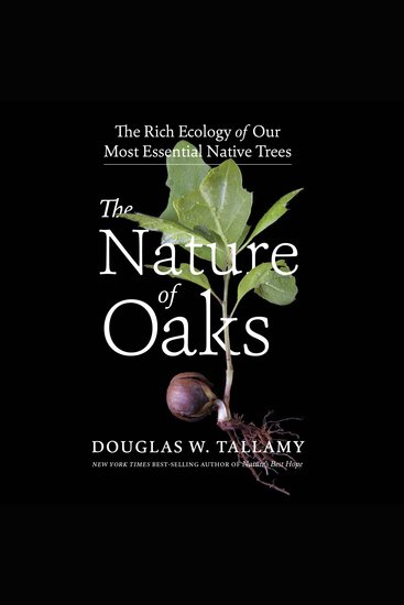 The Nature of Oaks - The Rich Ecology of Our Most Essential Native Trees - cover