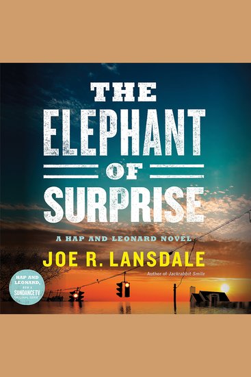 The Elephant of Surprise - cover