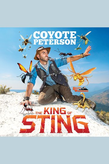 The King of Sting - cover