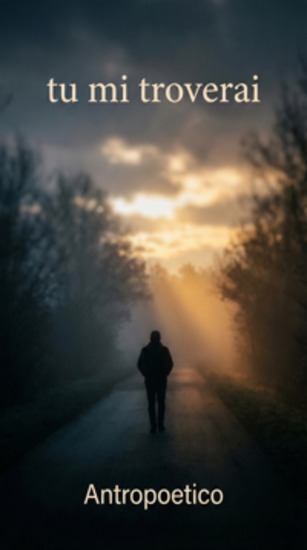 Tu mi troverai - Poesie che cercano la luce anche quando il falco piomba dall'alto - cover