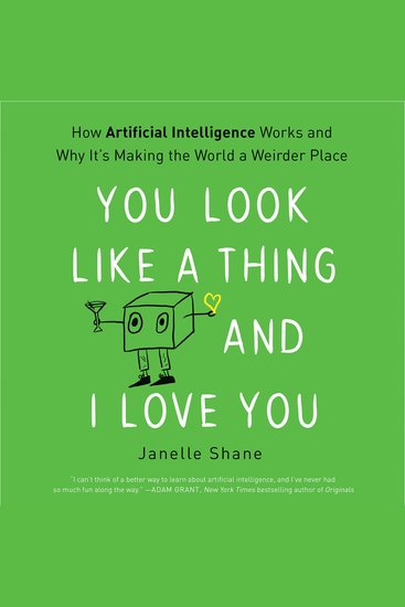 You Look Like a Thing and I Love You - How Artificial Intelligence Works and Why It's Making the World a Weirder Place - cover