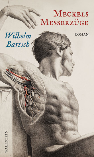 Meckels Messerzüge - Roman - cover