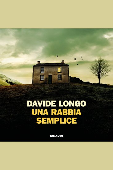 Una rabbia semplice - cover