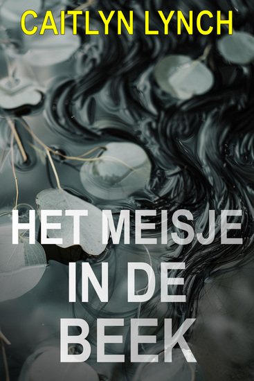 Het Meisje in de beek - Een meeslepende Australische thriller in een klein stadje met een dodelijk geheim en een gevaarlijke aantrekkingskracht - cover