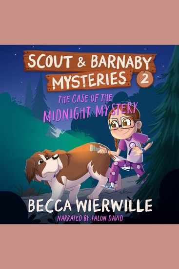 The Case of the Midnight Mystery - cover