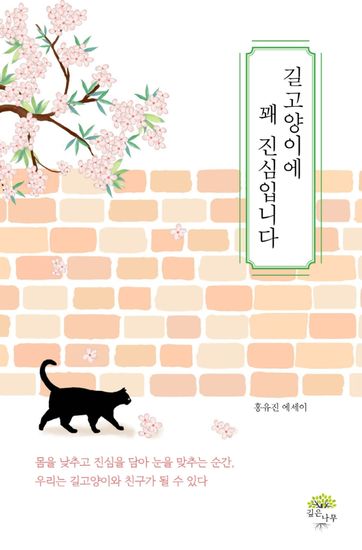 길고양이에 꽤 진심입니다 - cover