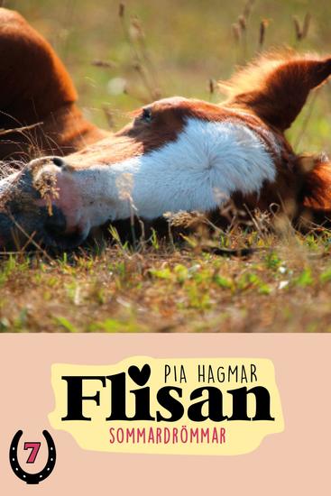 Sommardrömmar - cover