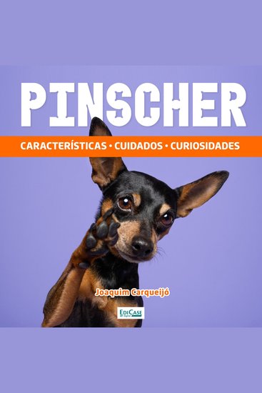 Pinscher - Características cuidados curiosidades - cover