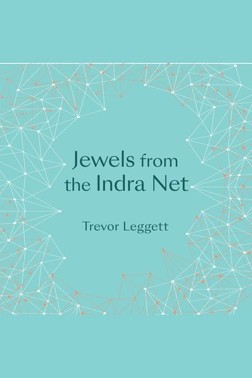 Jewels From The Indra Net - cover
