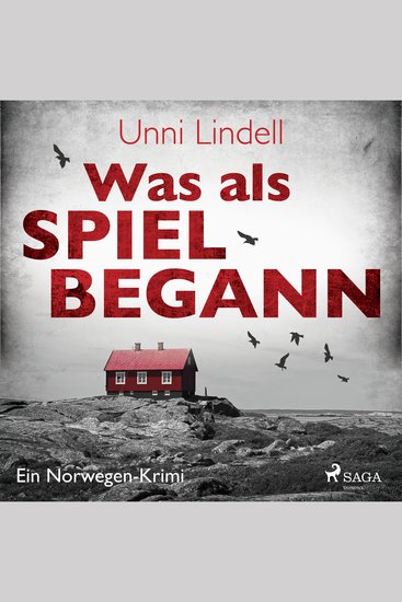 Was als Spiel begann - Ein Norwegen-Krimi - cover