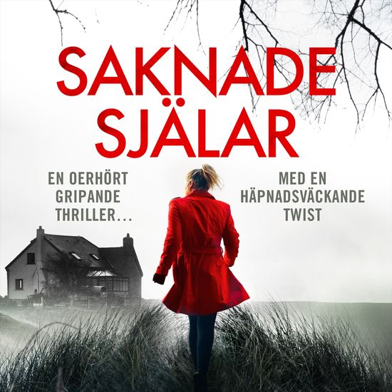 Saknade själar - cover