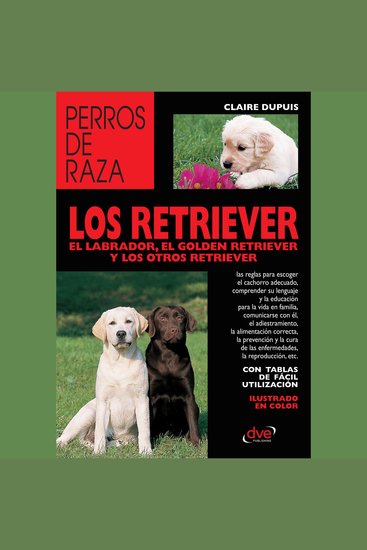los retriever el labrador el golden retriever y los otros retriever - cover