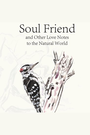 Soul Friend - and Other Love Notes to the Natural World - cover