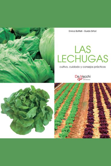 Las lechugas - cultivo cuidado y condejos prácticos - cover
