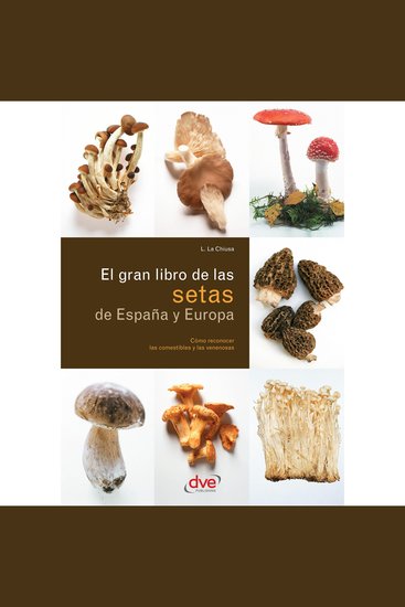 El gran libro de las setas de España y Europa - cover