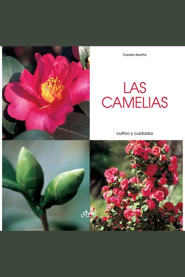 Las camelias - Cultivo y cuidados - cover