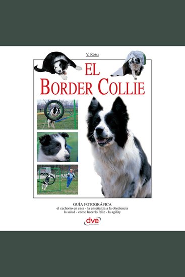 El border collie - Manual completo para comprender educar y cuidar al perro más inteligente y activo - cover