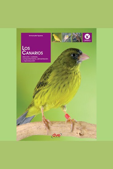 Los canarios Elección cuidado comportamiento alimentación y reproducción - cover