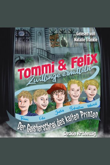 Tommi und Felix Zwillinge ermitteln - Der Geisterschrei des kalten Prinzen - cover