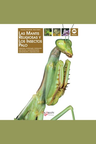 La mantis religiosa y los insectos palo - cover