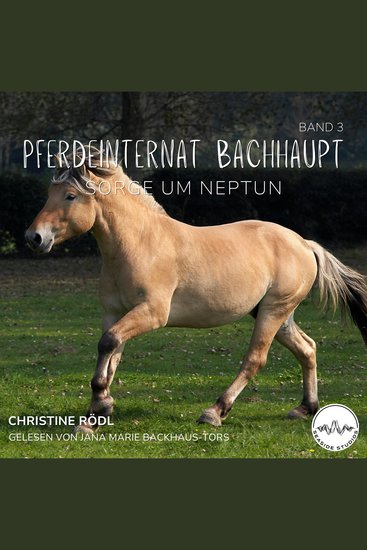 Sorge um Neptun - Pferdeinternat Bachhaupt 3 - cover