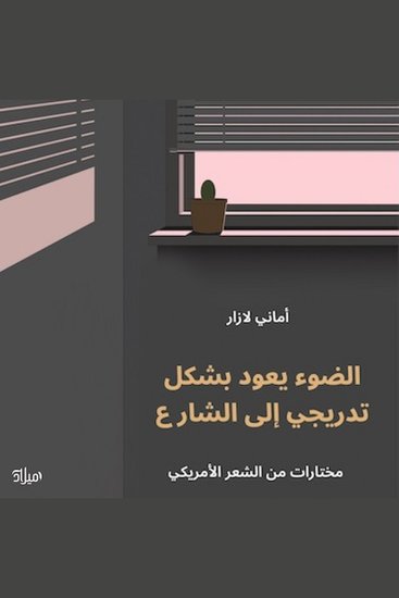 الضوء يعود بشكل تدريجي إلى الشارع - مختارات من الشعر الأمريكي - cover