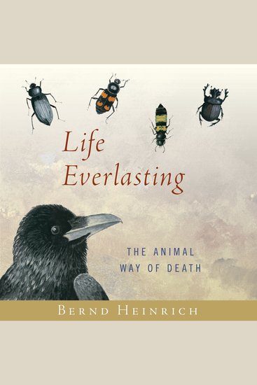 Life Everlasting - The Animal Way of Death - cover
