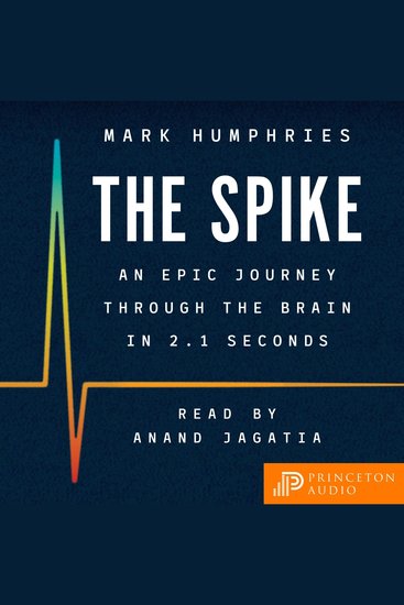 The Spike - An Epic Journey Through the Brain in 21 Seconds - cover