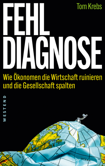 Fehldiagnose - Wie Ökonomen die Wirtschaft ruinieren und die Gesellschaft spalten - cover