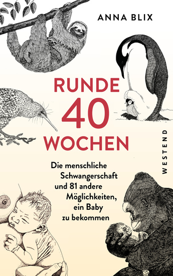 Runde 40 Wochen - Die menschliche Schwangerschaft und 81 andere Möglichkeiten ein Baby zu bekommen - cover
