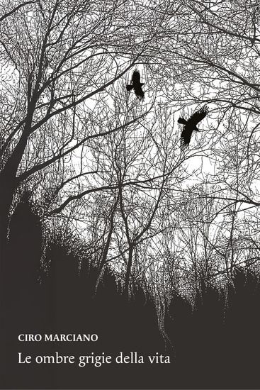 Le ombre grigie della vita - cover