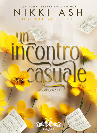 Un incontro casuale - cover