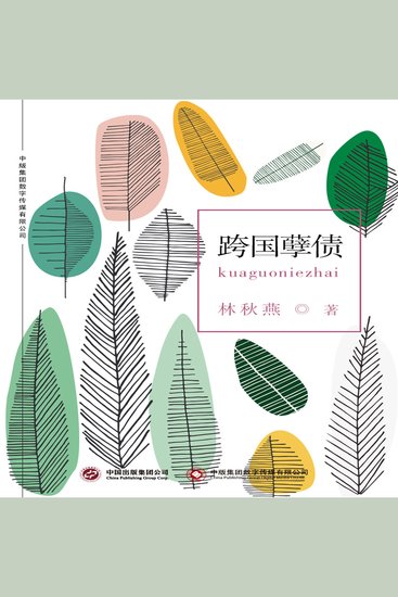 跨国孽债 - cover