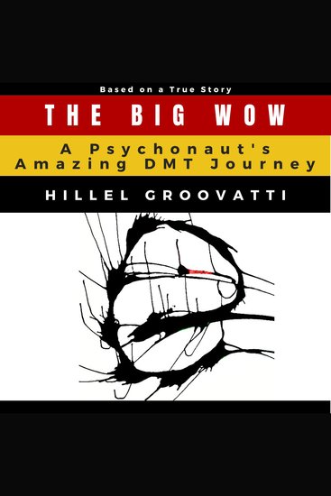 The Big Wow - A Psychonaut's Amazing DMT Journey - cover