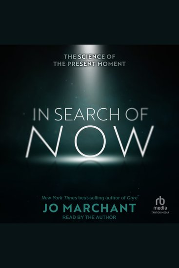 In Search of Now - The Science of the Present Moment - cover