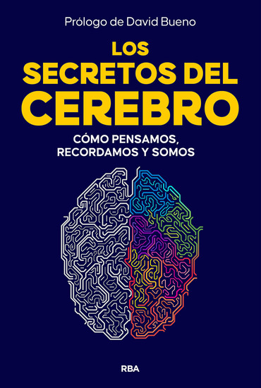 Los secretos del cerebro - Cómo pensamos recordamos y somos - cover