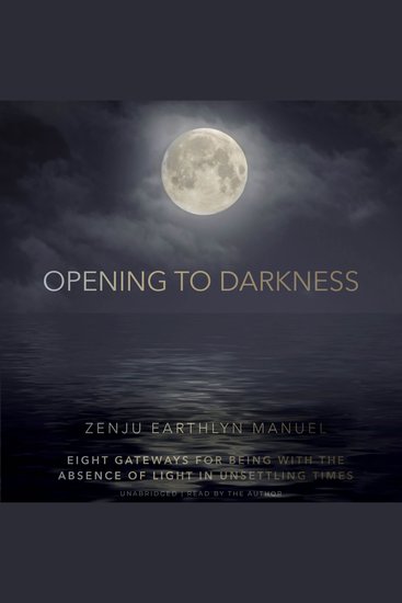 Opening to Darkness - Eight Gateways for Being with the Absence of Light in Unsettling Times - cover