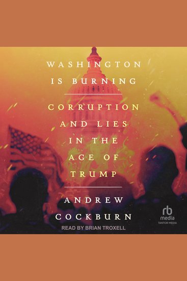 Washington Is Burning - Corruption and Lies in The Age of Trump - cover