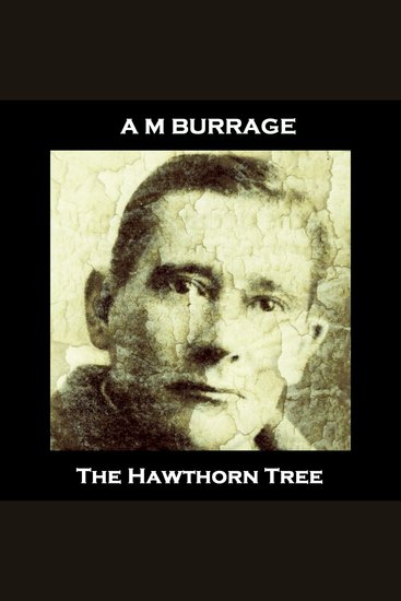 The Hawthorn Tree - From their pens to your ears genius in every story - cover