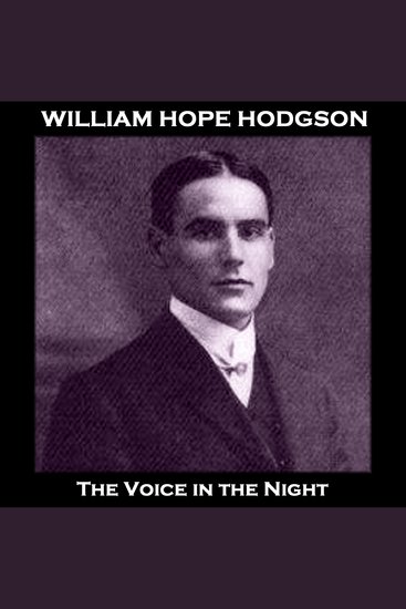 The Voice in the Night - From their pens to your ears genius in every story - cover