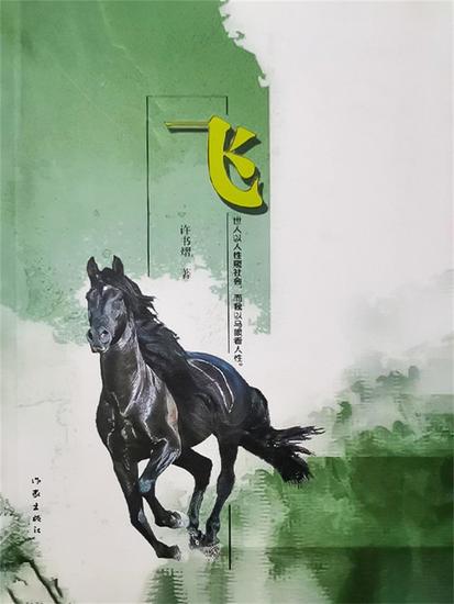 飞 - cover