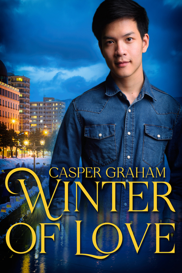 Winter of Love - cover