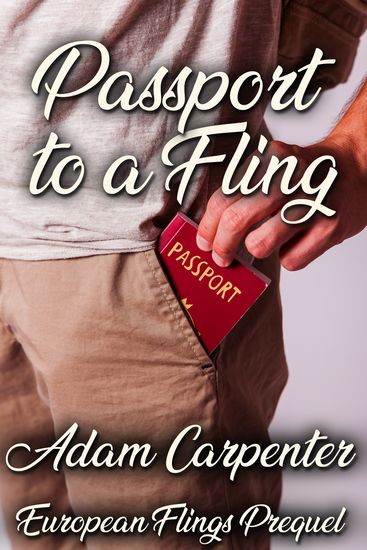Passport to a Fling - cover