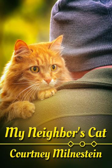 My Neighbor's Cat - cover
