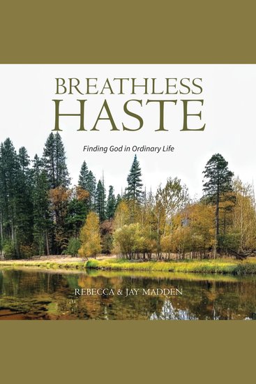 Breathless Haste - Finding God in Ordinary Life - cover