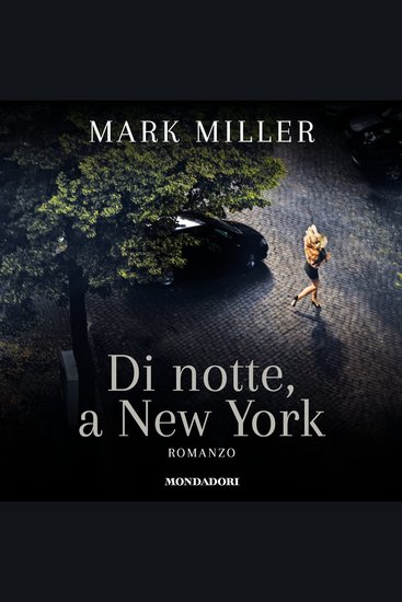 Di notte a New York - cover