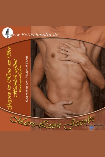 Gaysex im Haus am See - Heimlich gefilmt - Eine Gaysex-Hypnose - cover