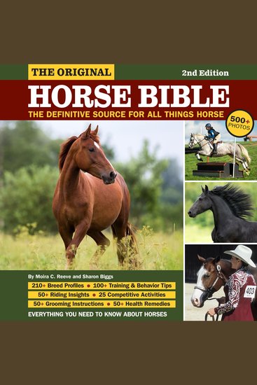 Original Horse Bible 2nd Edition - The Definitive Source for All Things Horse - cover